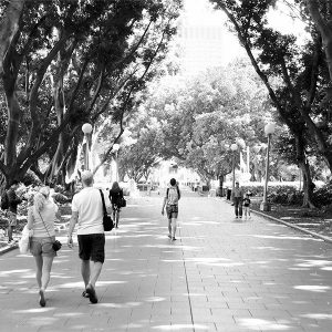 paseo parque zona verde urbana blanco y negro cuadrado