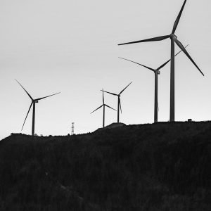 parque eólico montaña a contraluz en blanco y negro